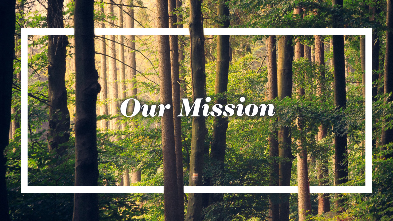 Our Mission text on a background of a forest with lots of trees