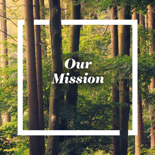 Our Mission text on a background of a forest with lots of trees 